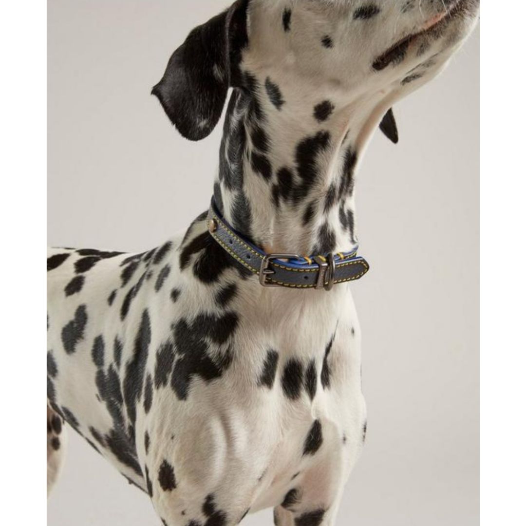 Rosewood & Joules - Navy Leather Collar