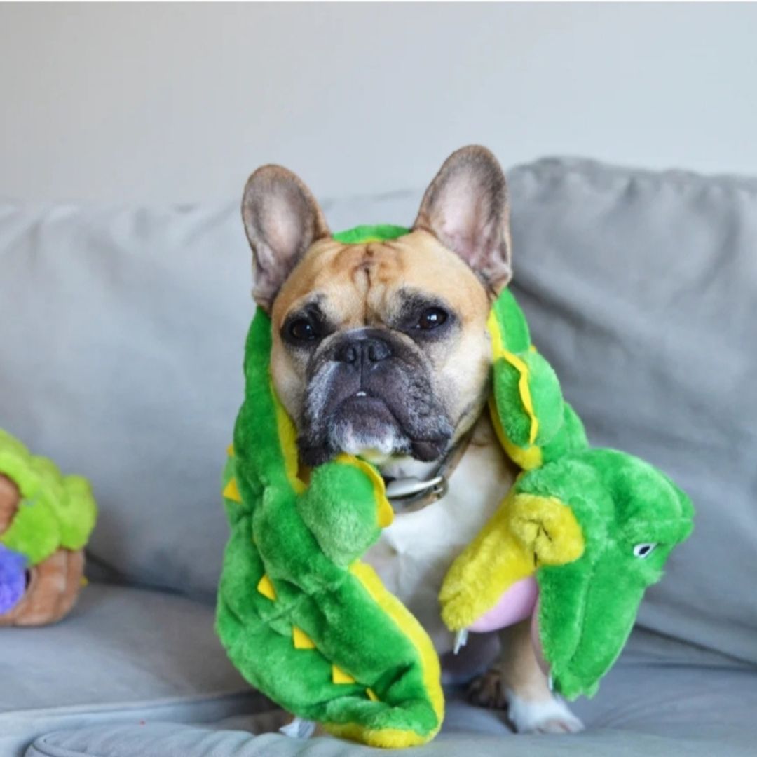 Squeaker Matz Gator XL 16 Squeaker