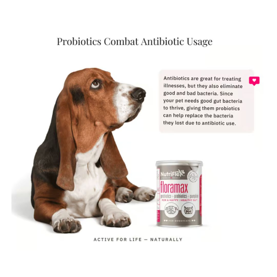 NutriFlex® FloraMax Probiotic for Dogs and Cats – Digestive Health and Gut Balance