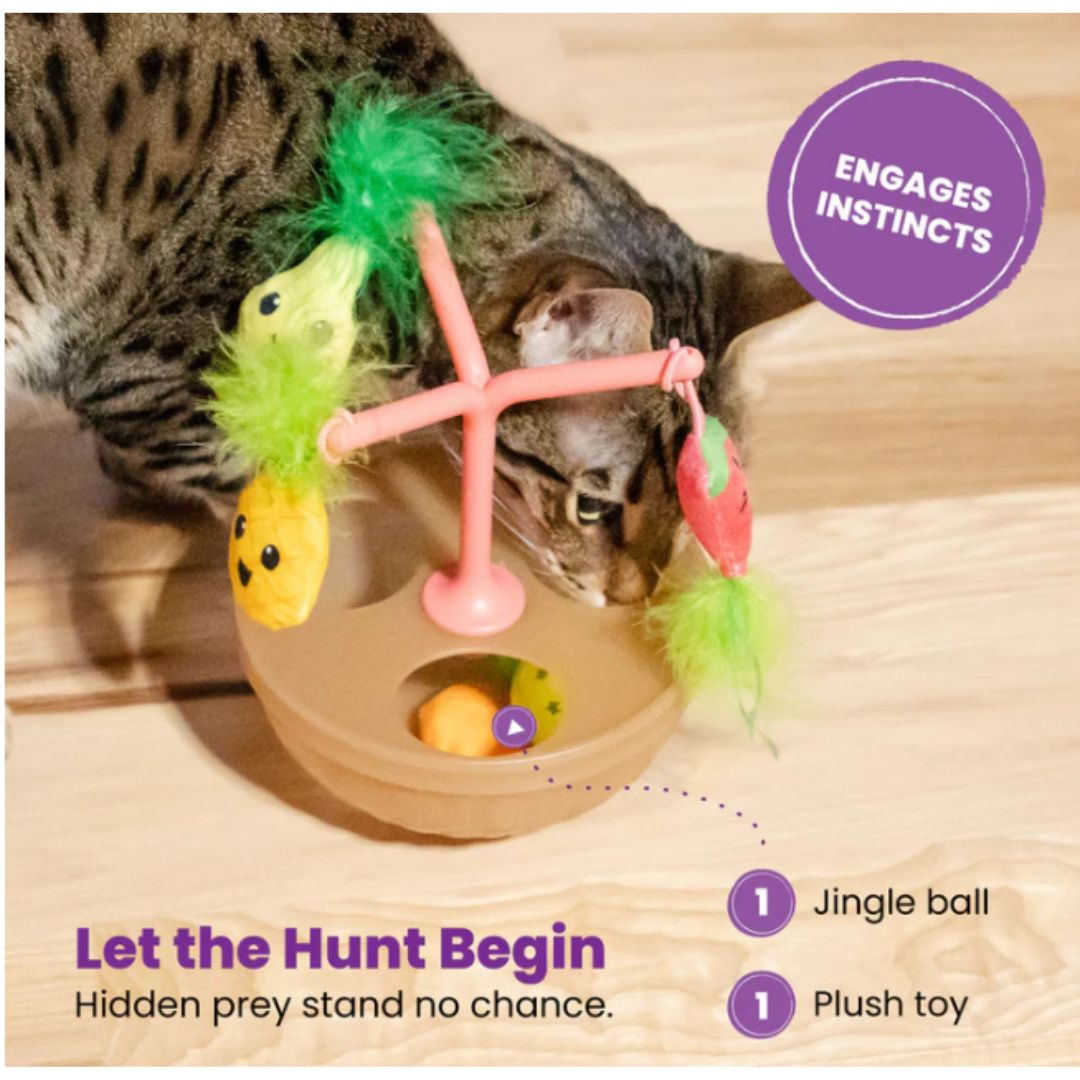 Catstages Hunt 'n Wobble Fruit Bowl