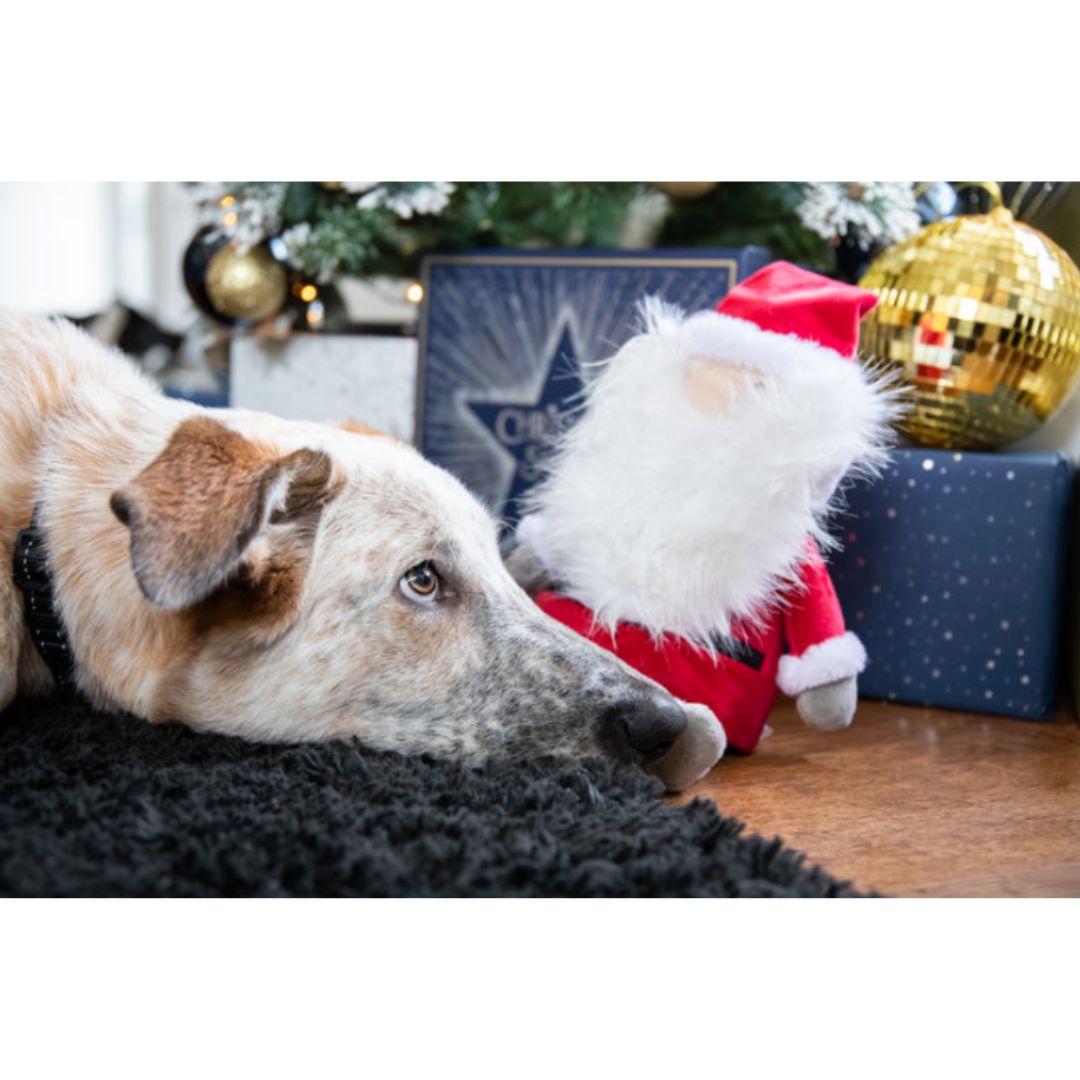 Sebastian Santa