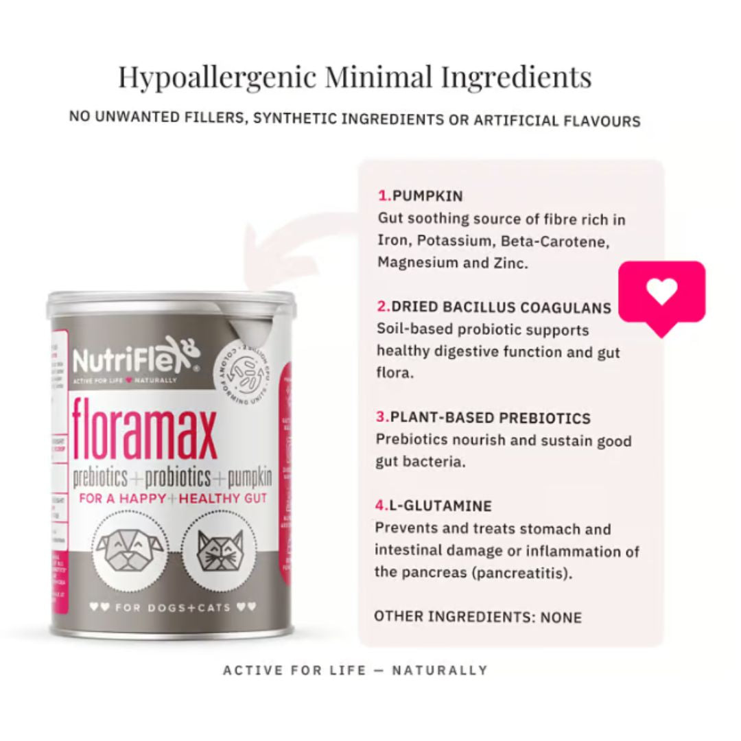 NutriFlex® FloraMax Probiotic for Dogs and Cats – Digestive Health and Gut Balance