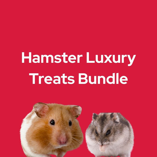 Hamster Luxury Treats Bundle