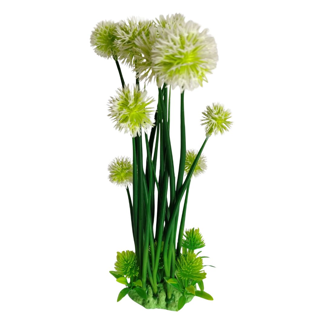 Dandelion-Style Plant