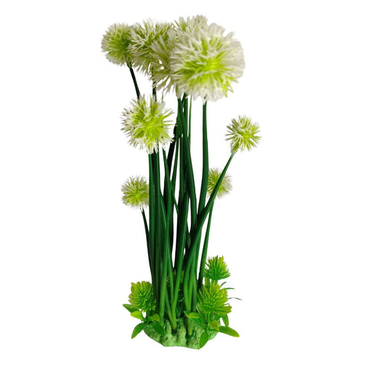 Dandelion-Style Plant