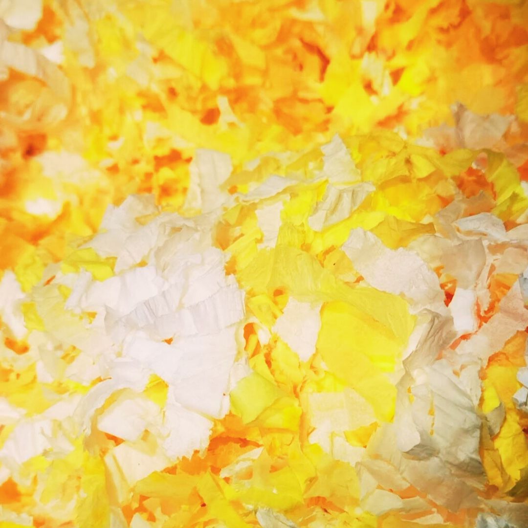 Monthly Hamster Essentials Box