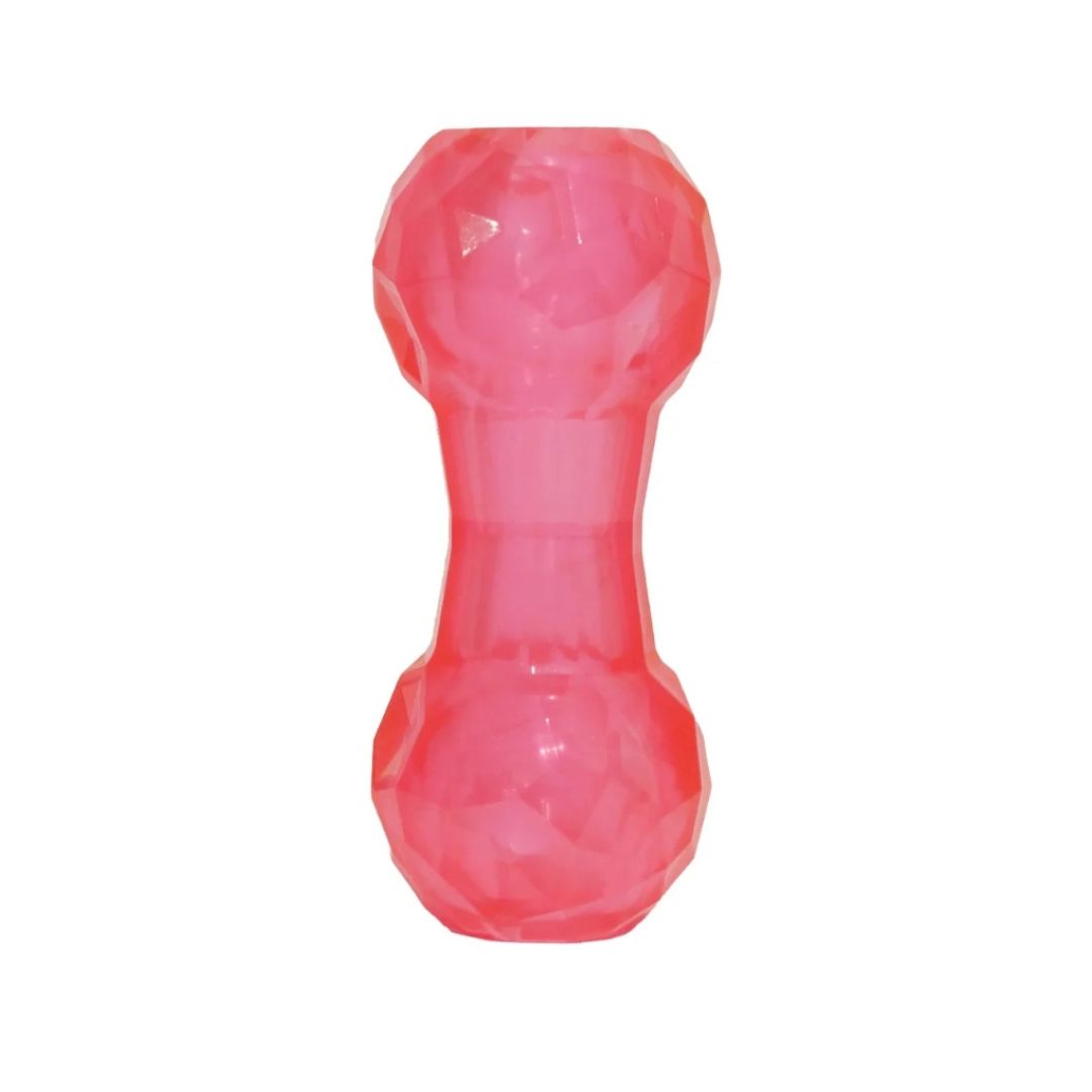 Biosafe Puppy Treat Dumbbell