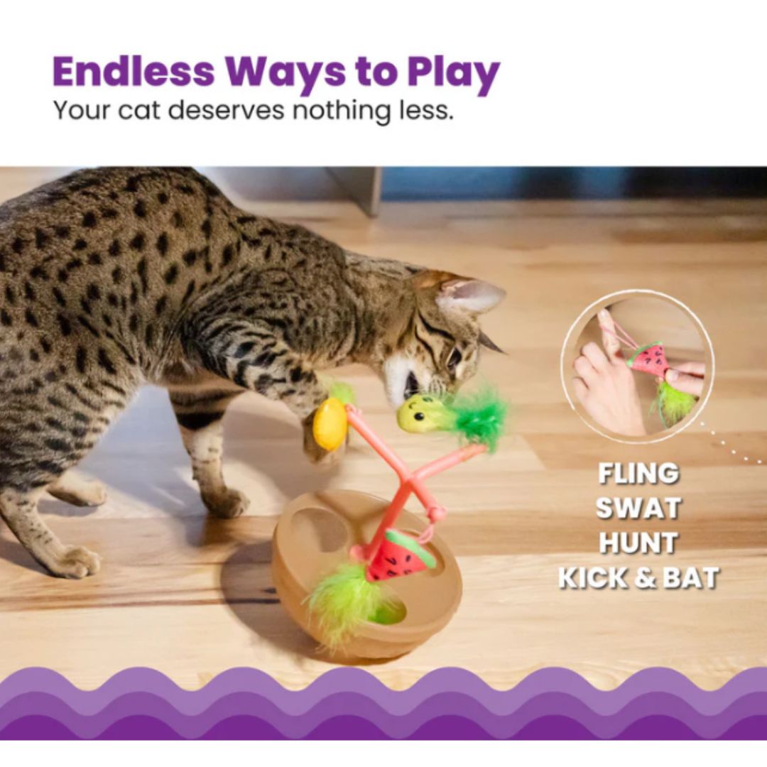 Catstages Hunt 'n Wobble Fruit Bowl
