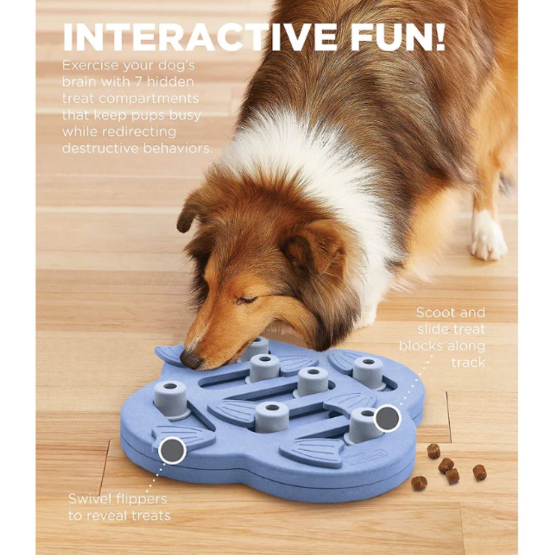Nina Ottosson Dog Hide 'n Slide Purple Puzzle Feeder