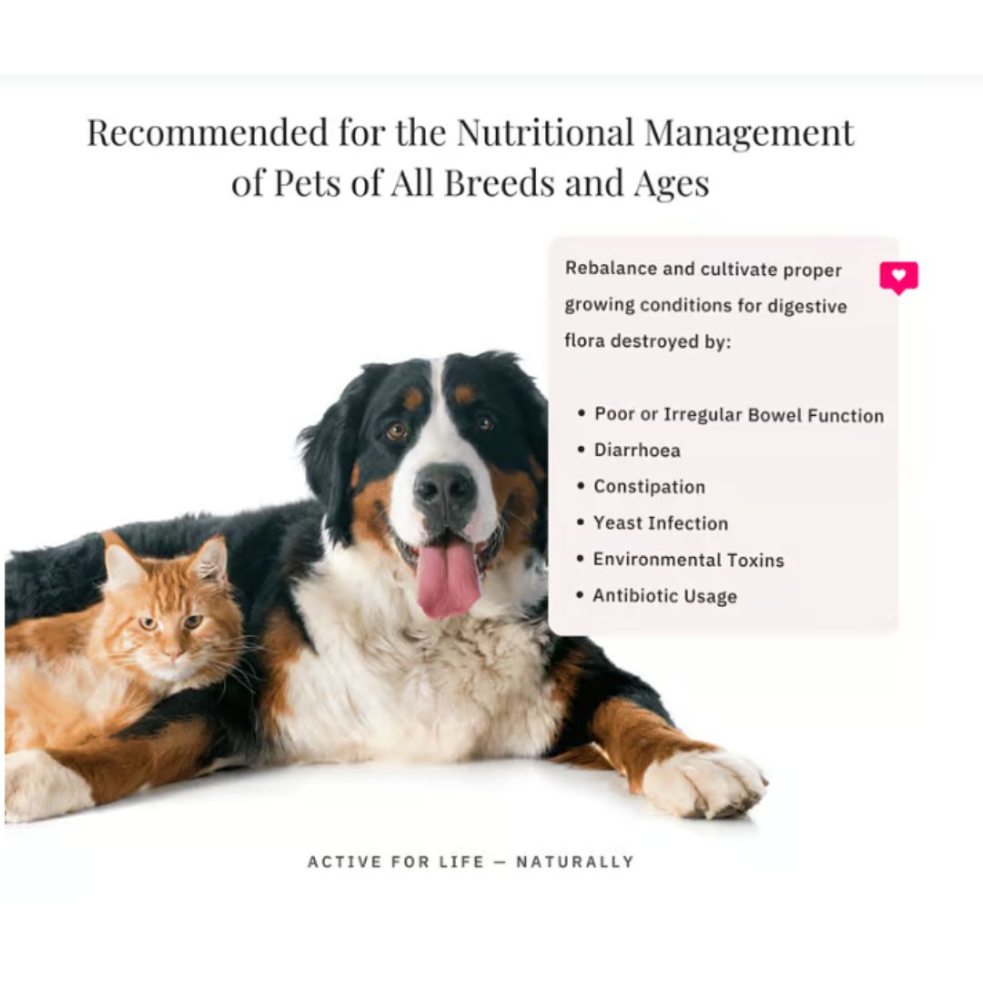 NutriFlex® DigestiMax - Digestive Enzymes with Pre and Probiotics For Dogs and Cats