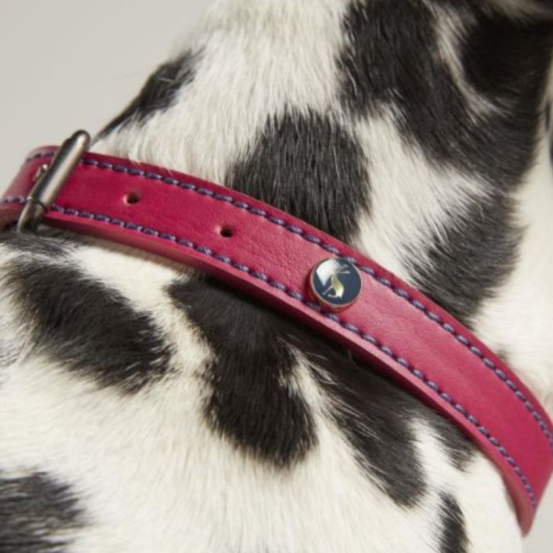Rosewood & Joules - Pink Leather Collars