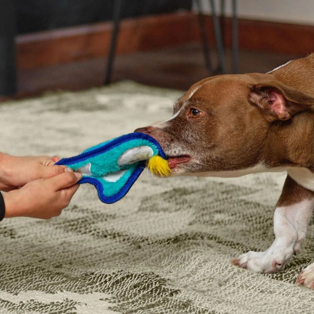 Durablez Mini Penguin