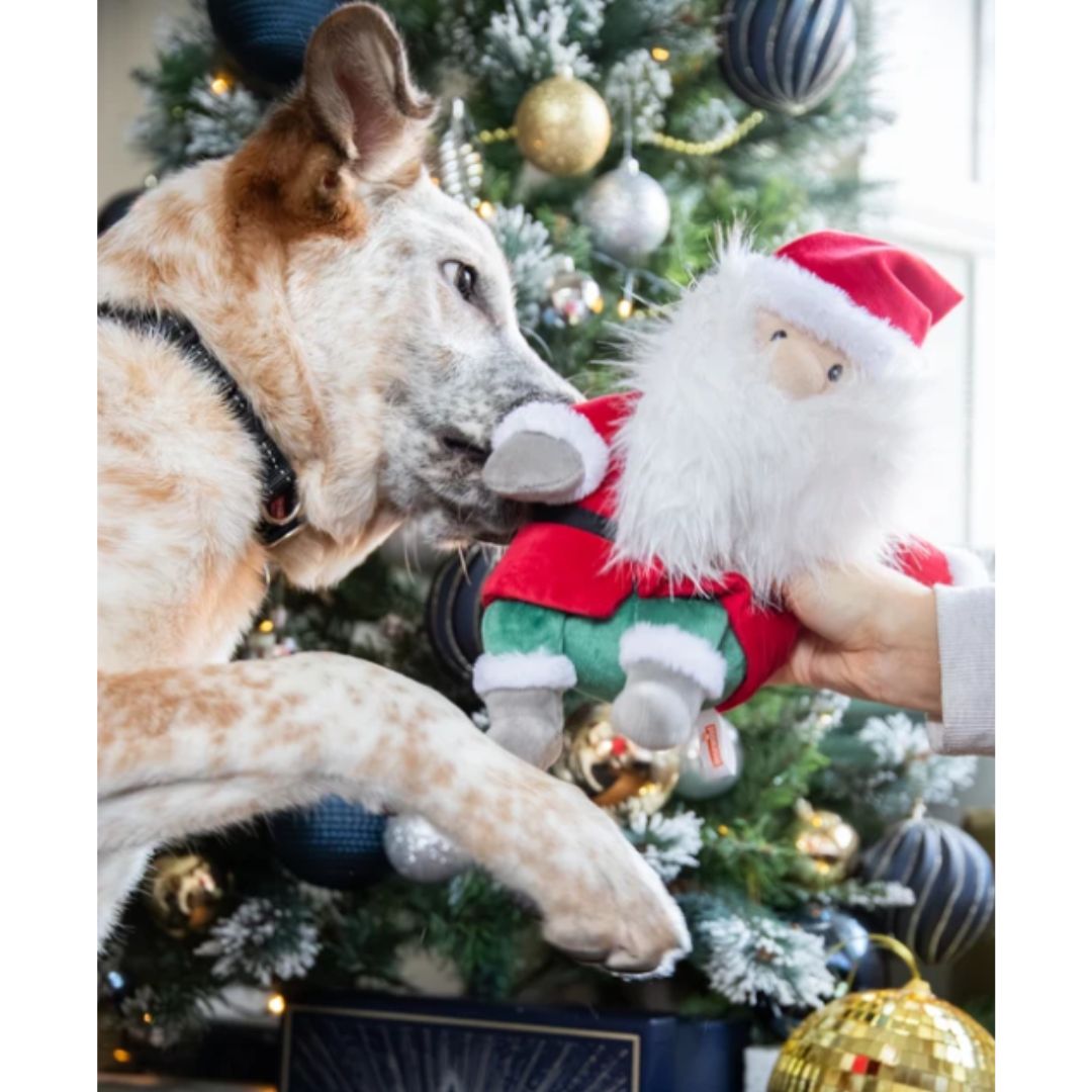 Sebastian Santa