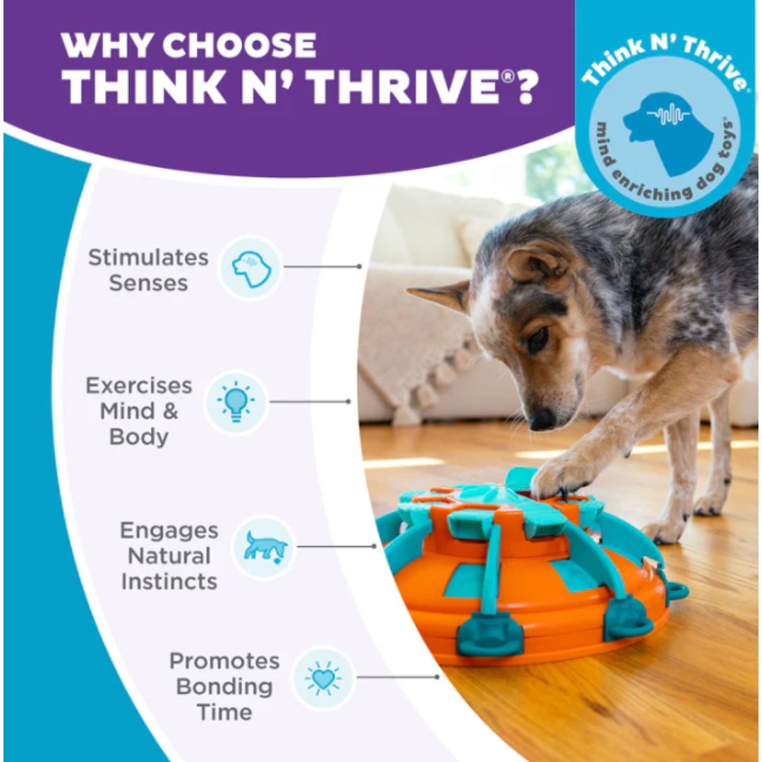 Nina Ottosson Tower of Treats