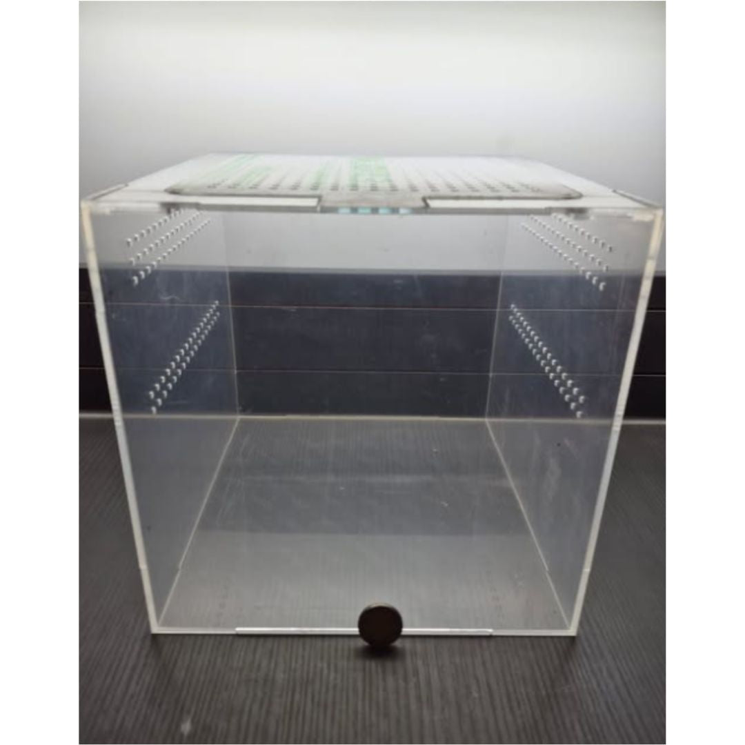 Acrylic Terrestrial Enclosures (Ground Dwelling Species)