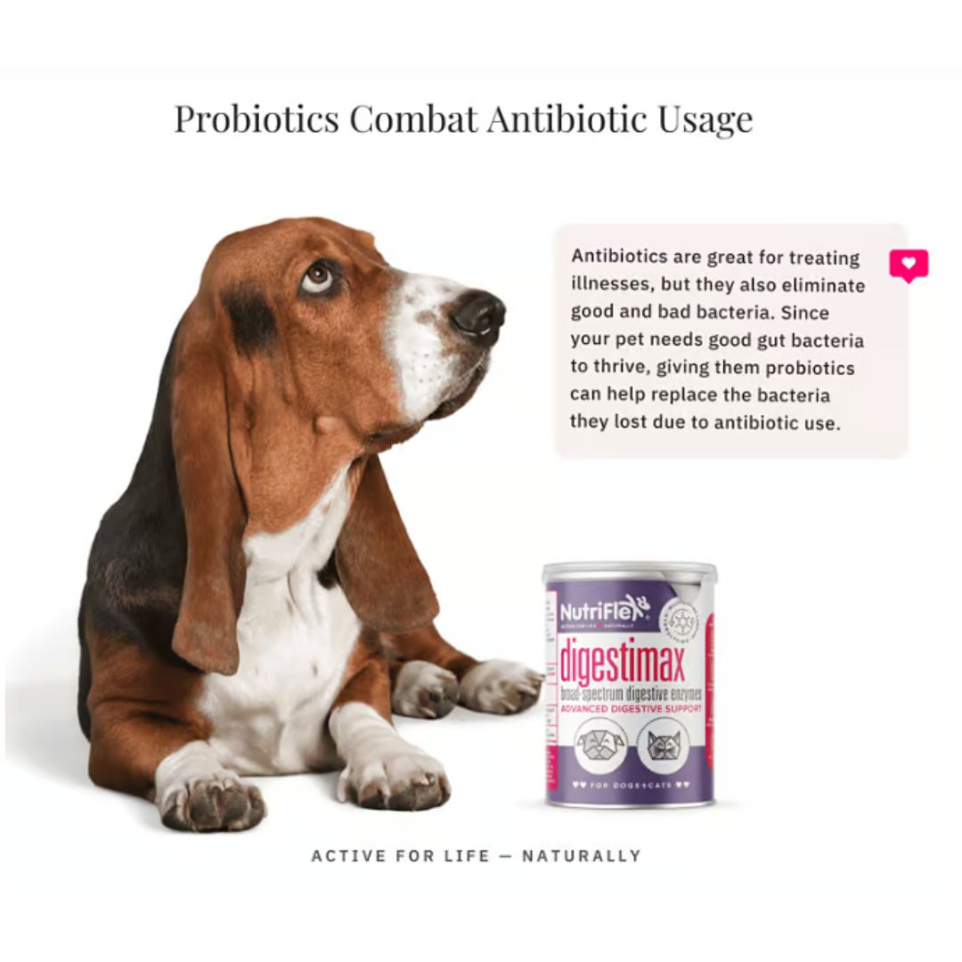 NutriFlex® DigestiMax - Digestive Enzymes with Pre and Probiotics For Dogs and Cats