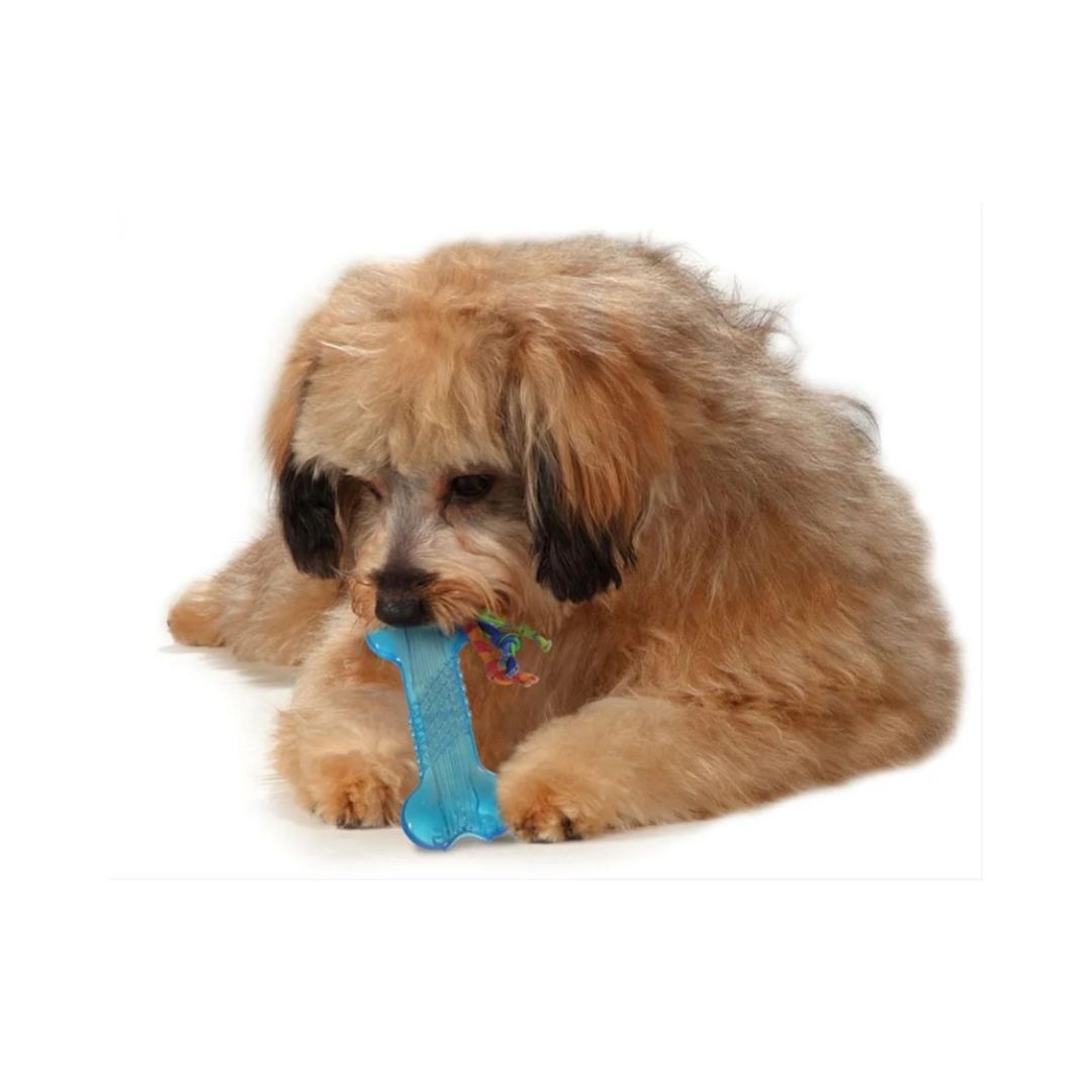 Orka Bone Mini