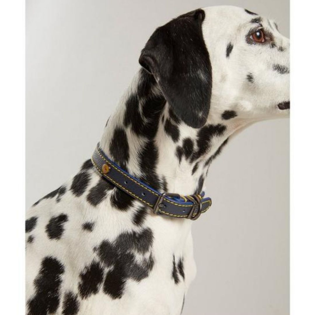 Rosewood & Joules - Navy Leather Collar