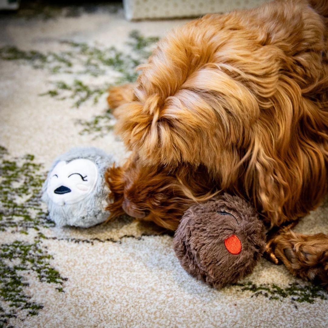 Ralphie Reindeer & Parker Penguin