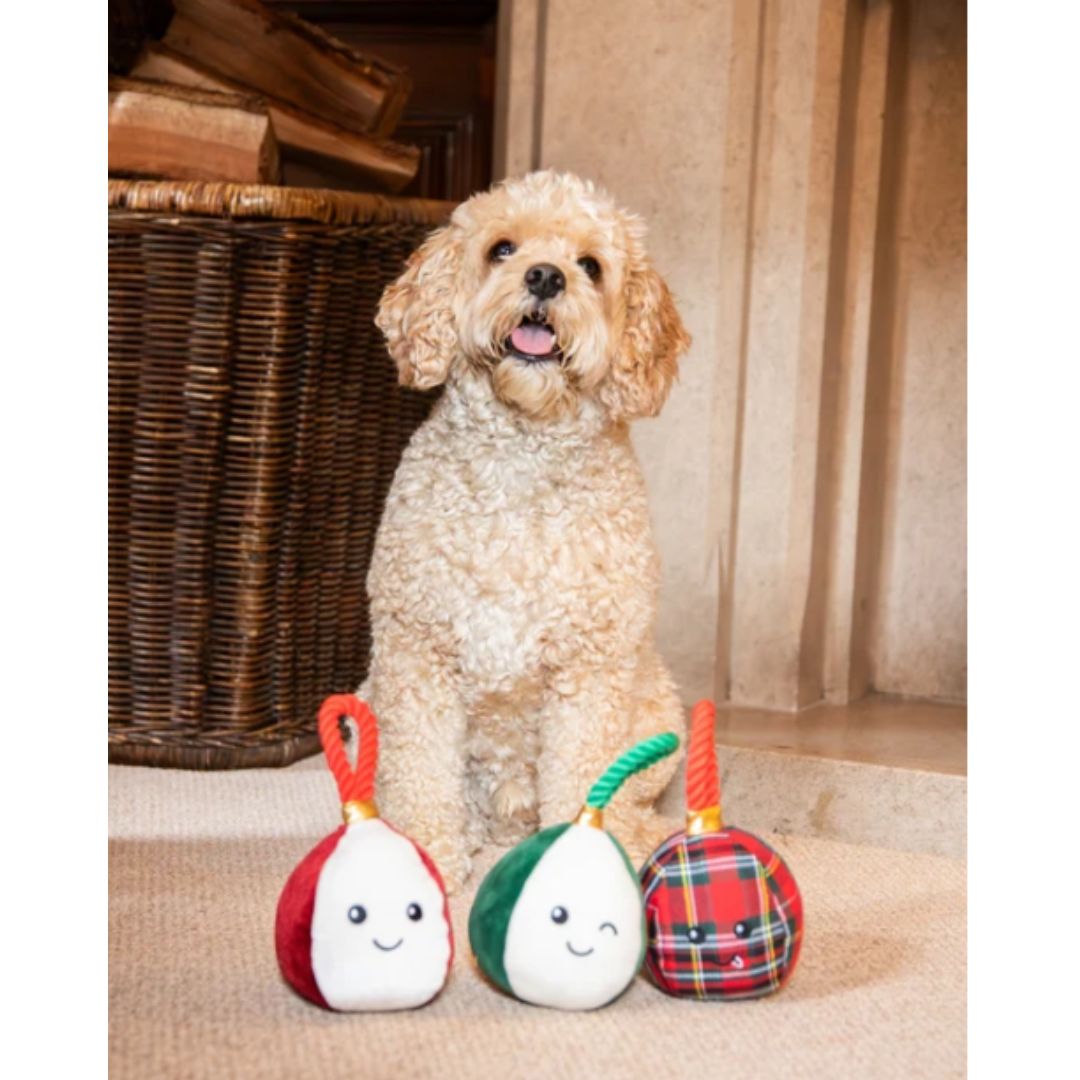 Bauble Buddies