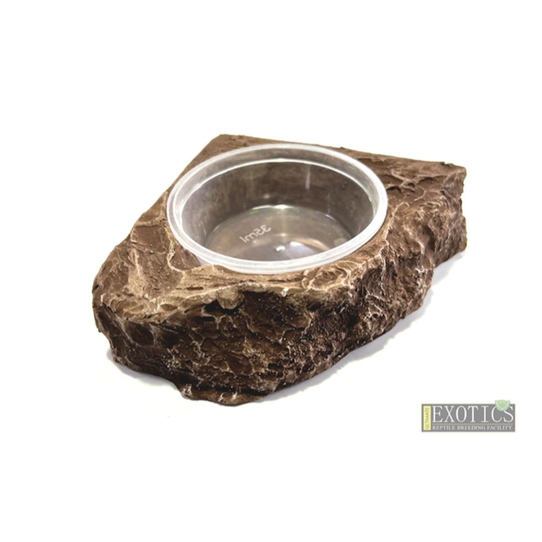 Feeding Bowl – Medium Shallow Corner