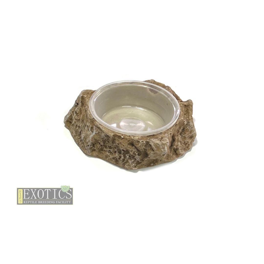 Feeding/Water Bowl – Medium Shallow