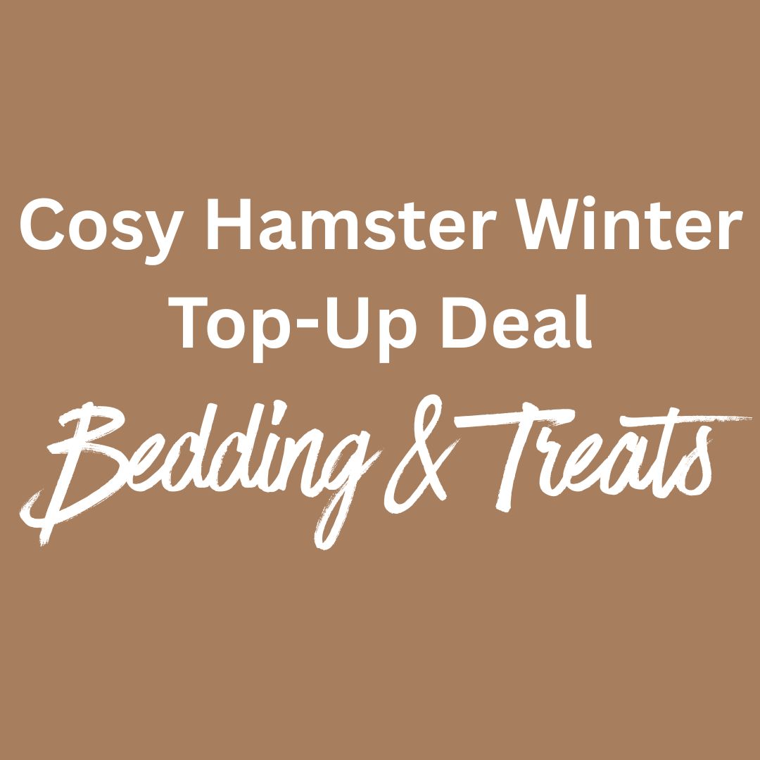 Cosy Hamster Winter Deal
