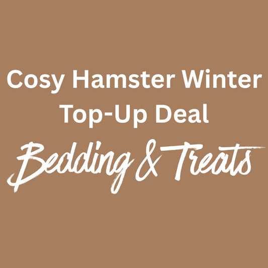 Cosy Hamster Winter Deal