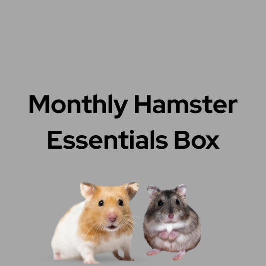 Monthly Hamster Essentials Box