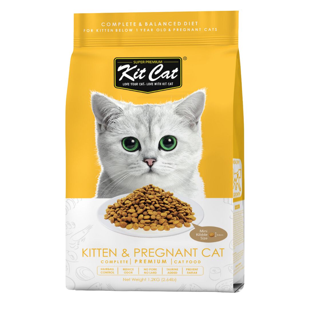 Mini Cat Essentials Box