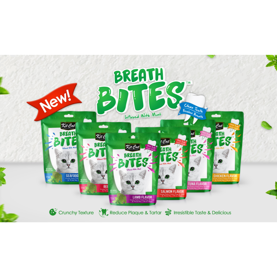 Kit Kat Breath Bites 60g