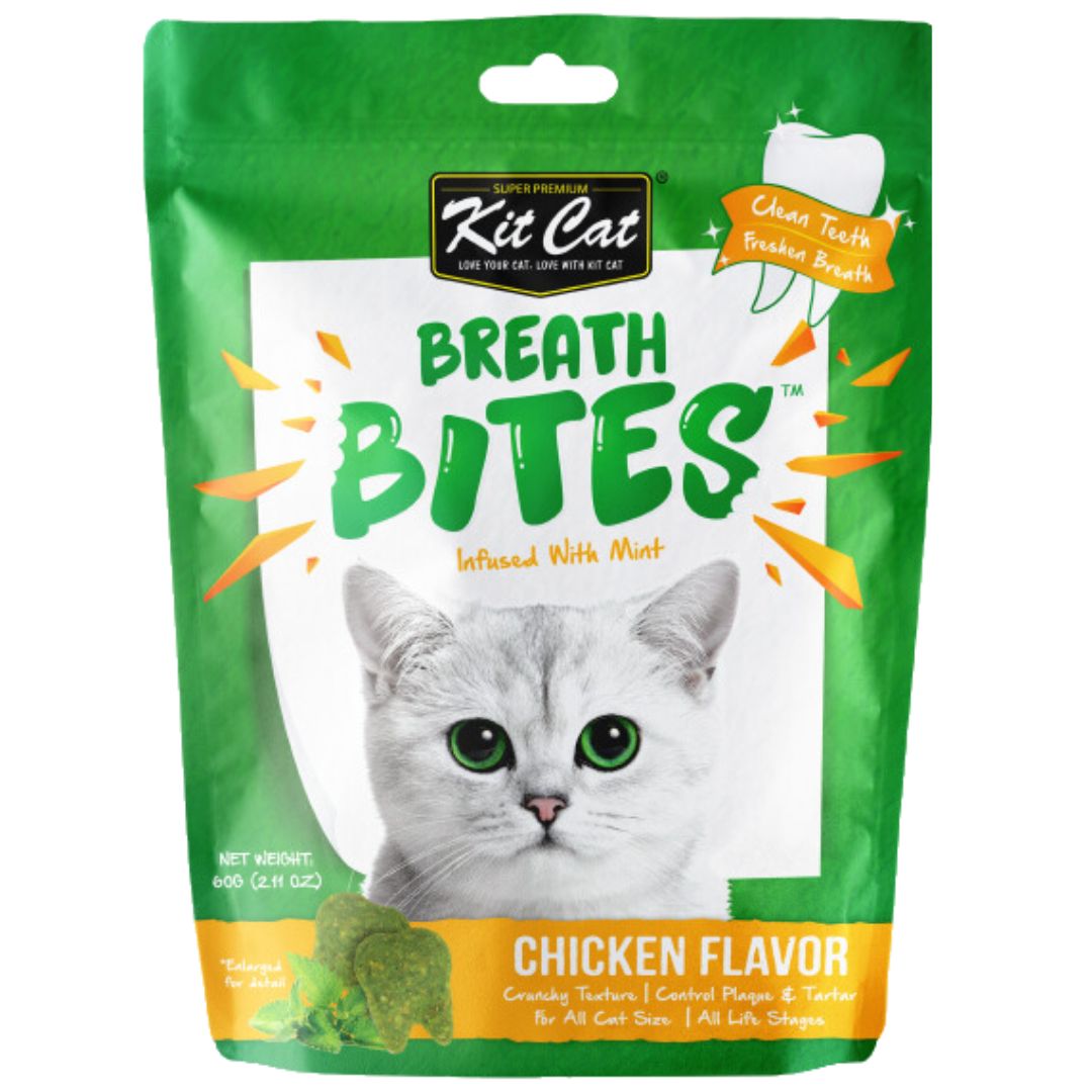 Mini Cat Essentials Box