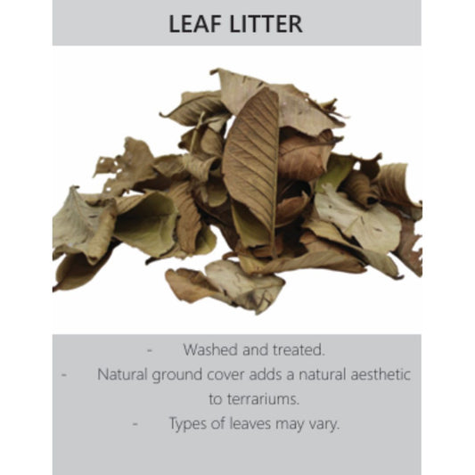 Leaf Litter
