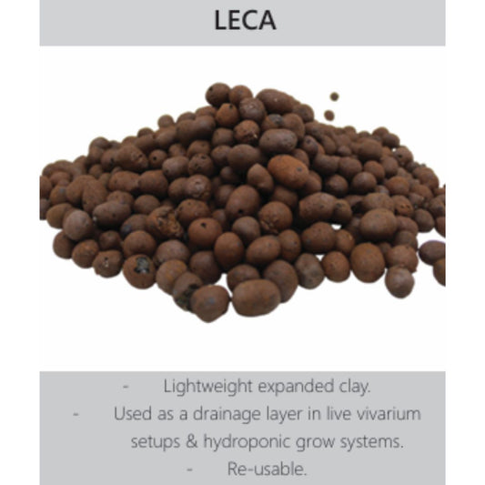 Leca