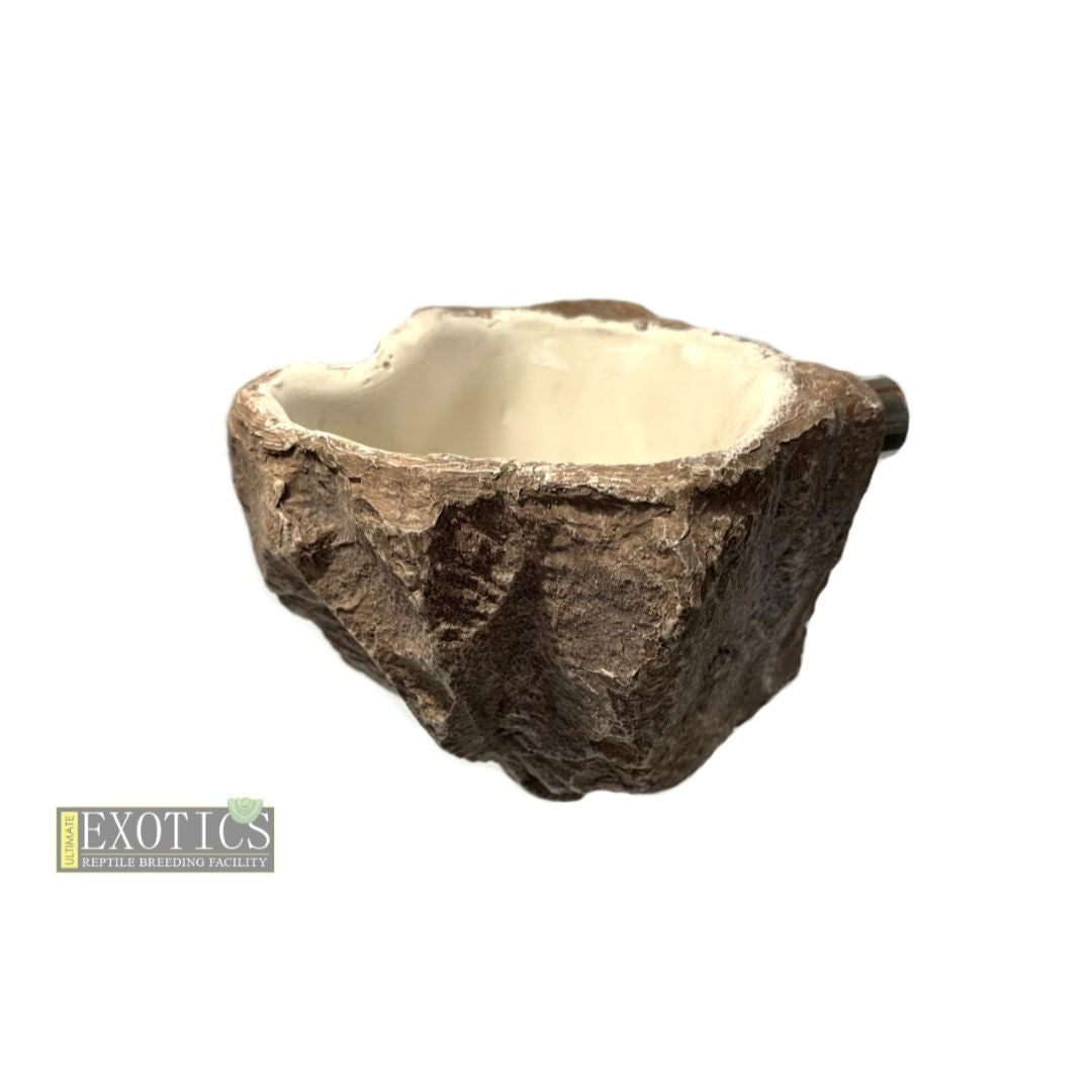 Magnetic Water Dish Medium Deep