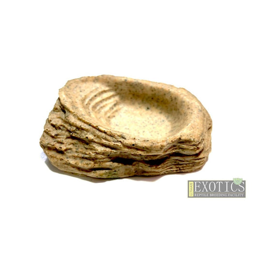 Mini Calcium/Feeding Dish