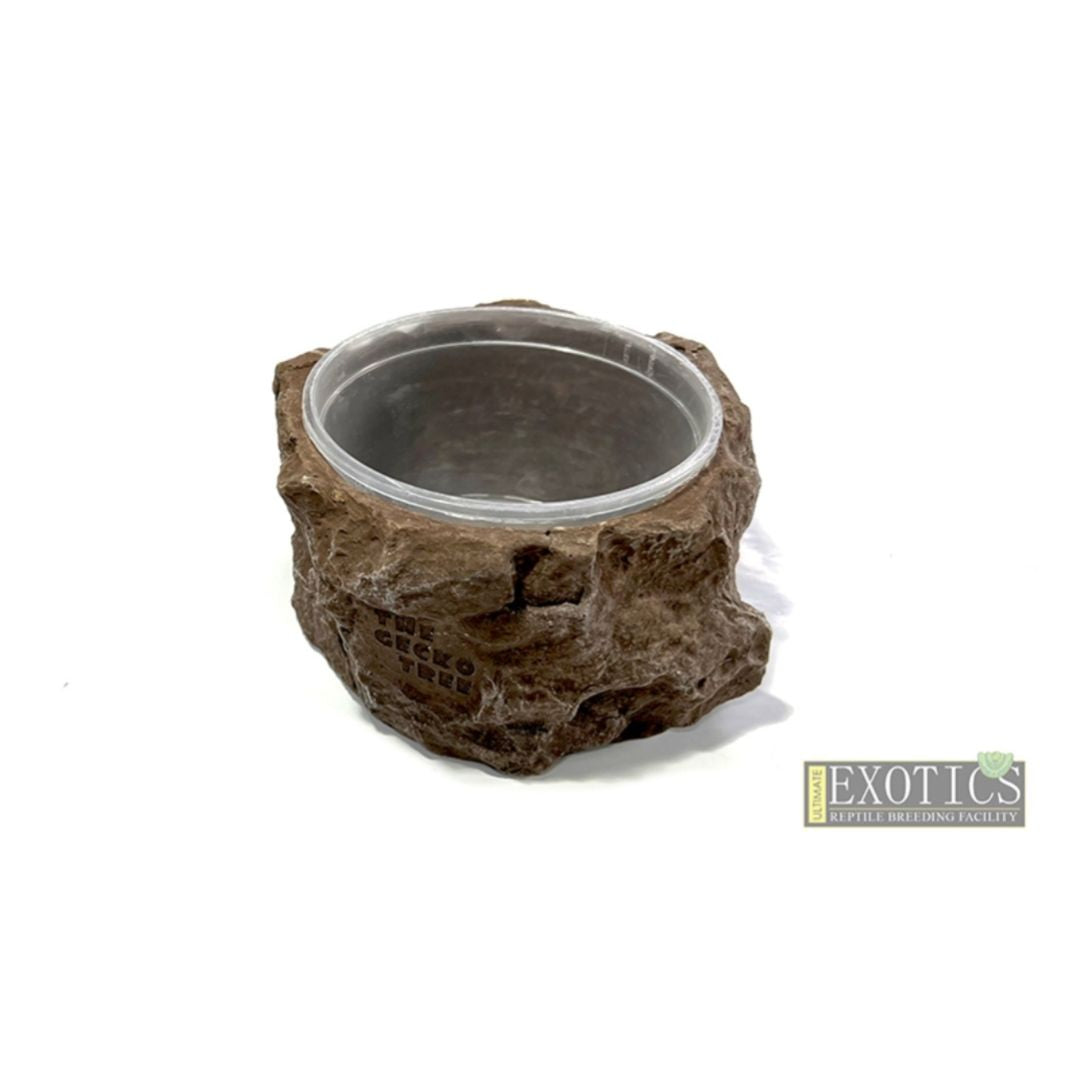 Naturalistic Bowl with Deli Cup – XLarge