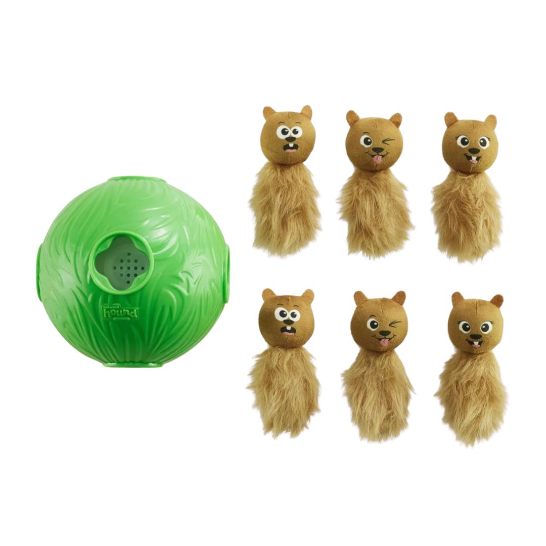 Nina Ottosson Dog Snuffle 'n Treat Ball