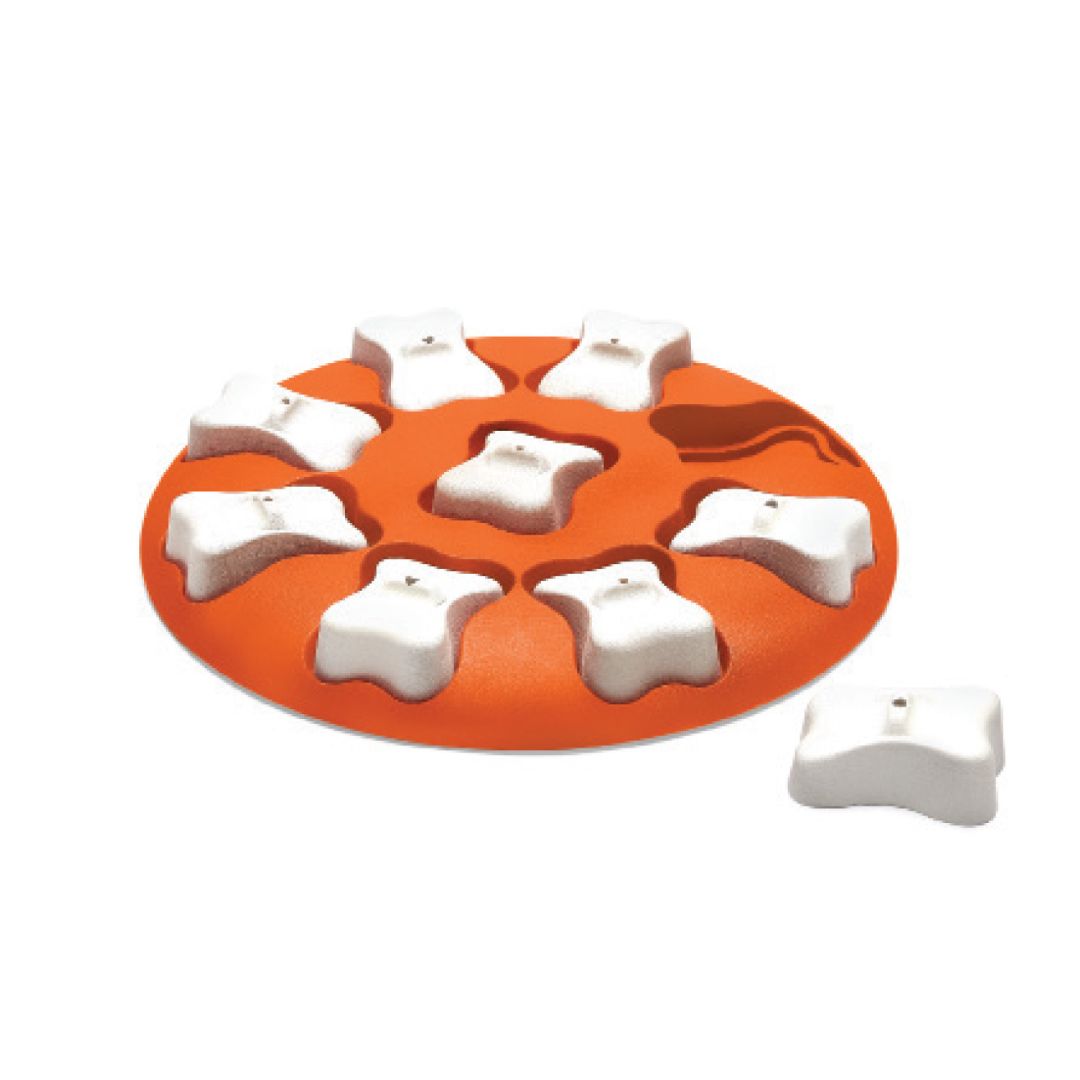 Dog Essentials Starter Box