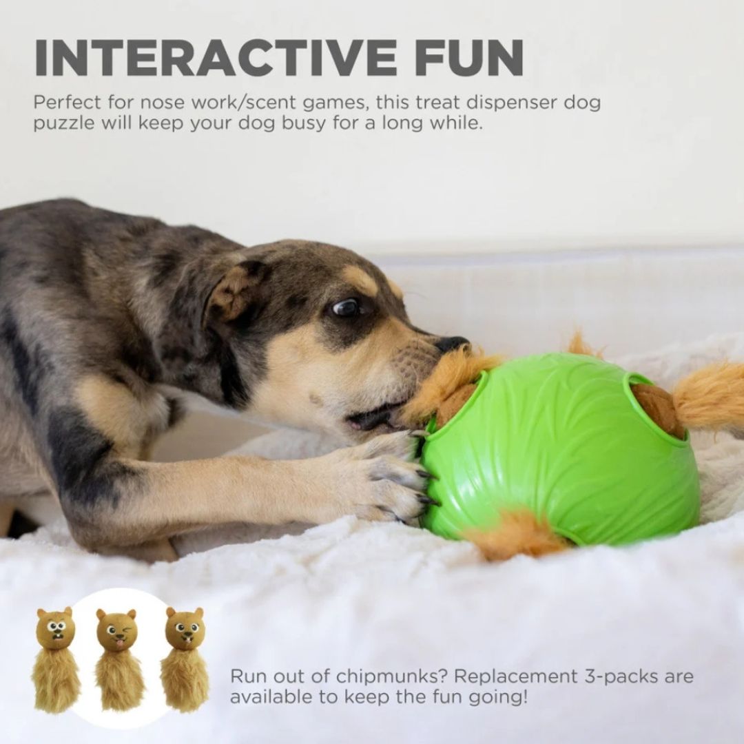 Nina Ottosson Dog Snuffle 'n Treat Ball
