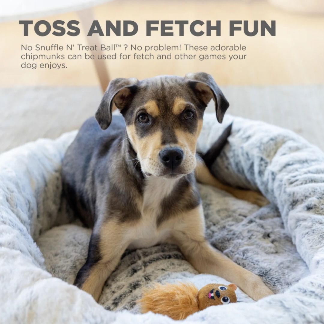 Dog Snuffle N' Treat Ball Replacement Chipmunks 3-Pack