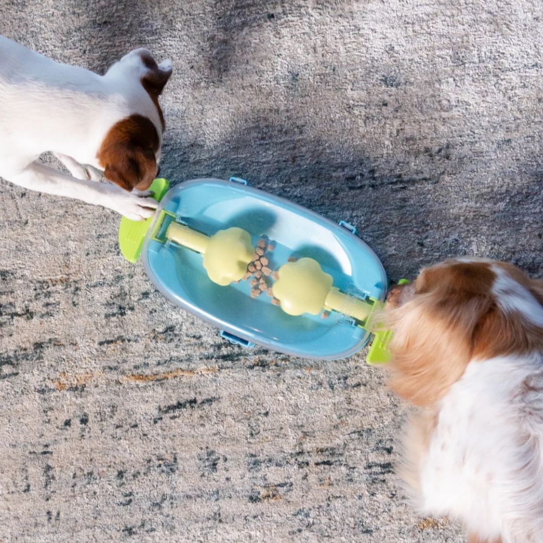 Paw 'n Play