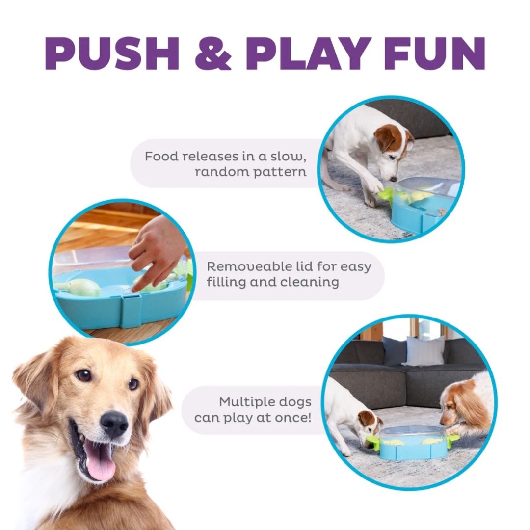Paw 'n Play