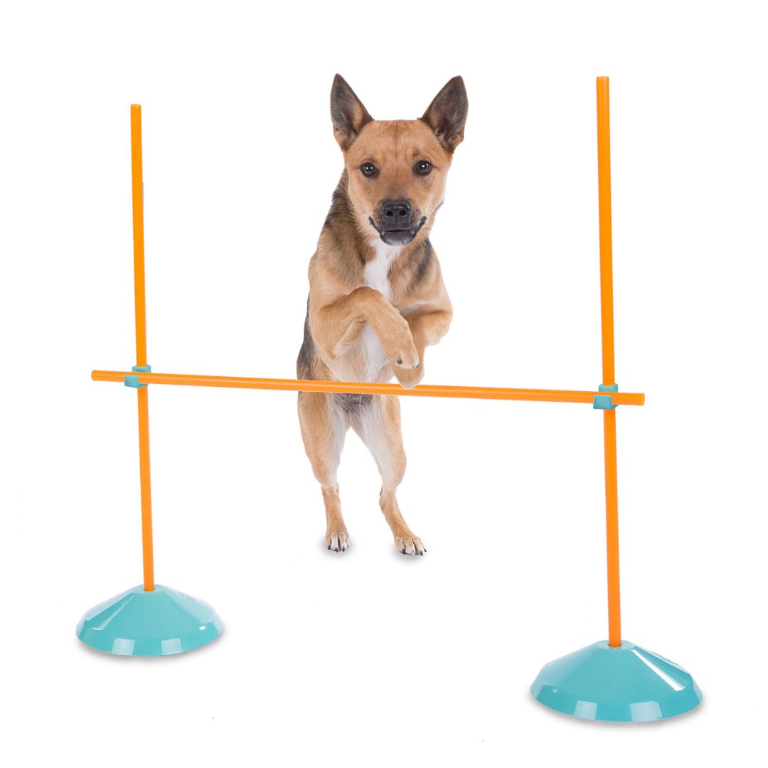 Outward Hound Indoor Agility Kit 3