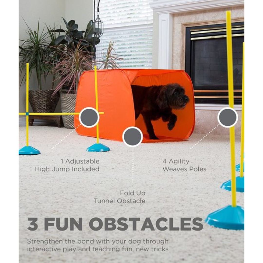 Outward Hound Indoor Agility Kit 4