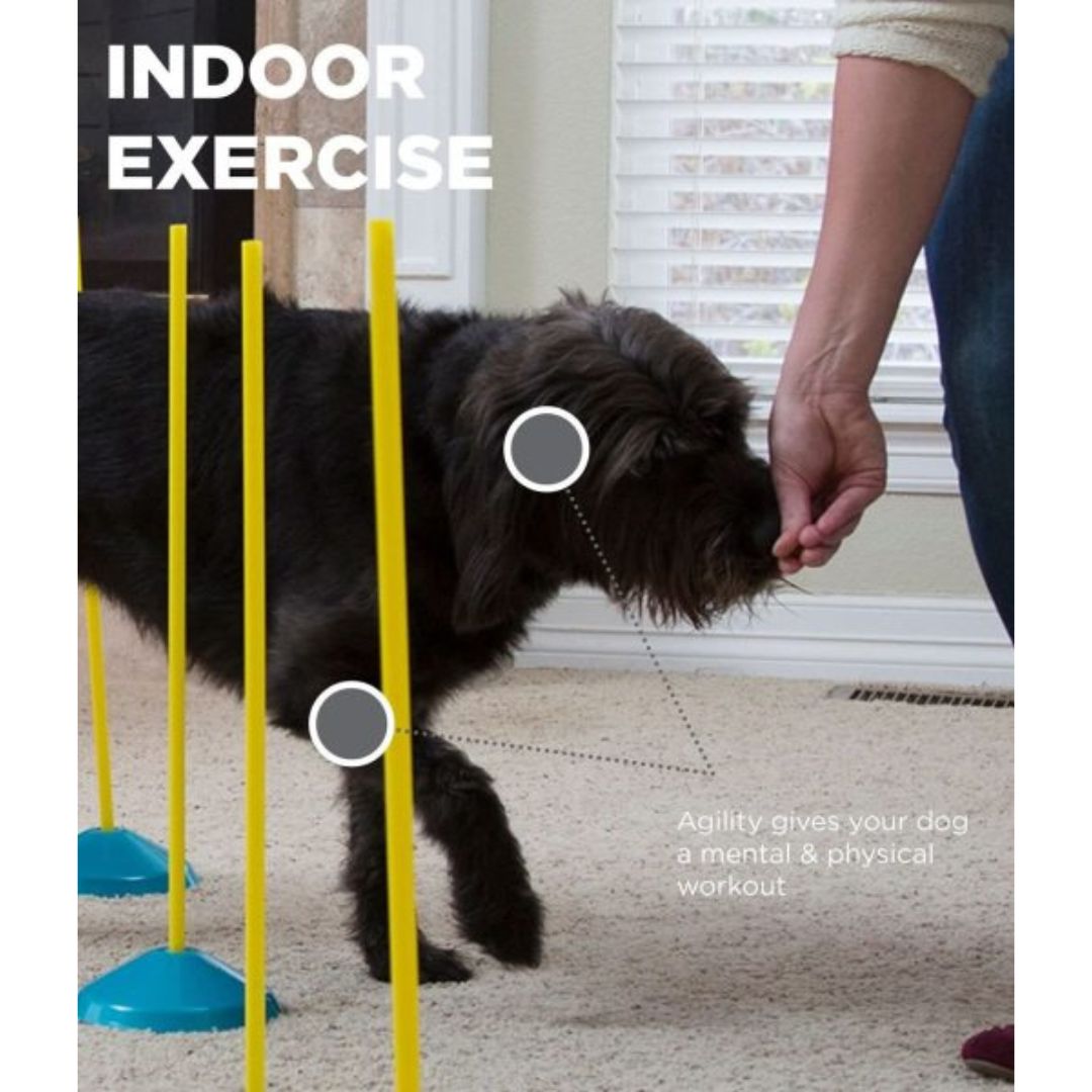 Outward Hound Indoor Agility Kit 5
