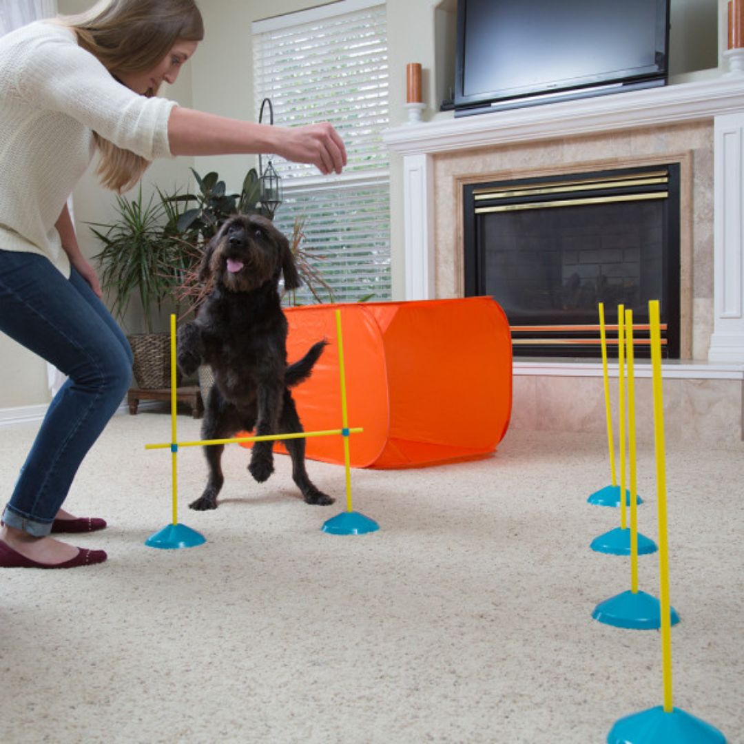 Outward Hound Indoor Agility Kit 6