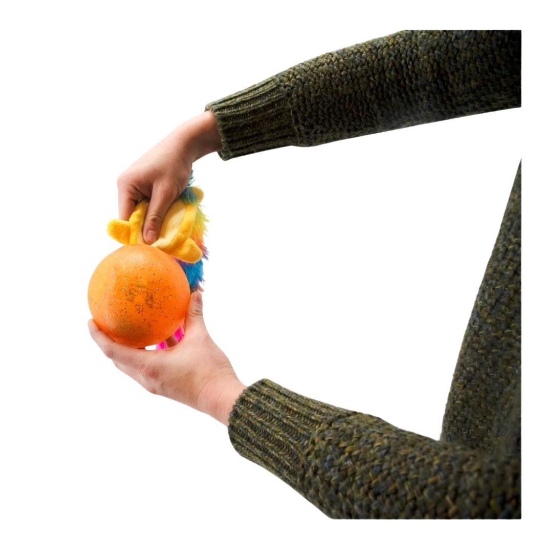 Outward Hound Surprise Tailz Ast