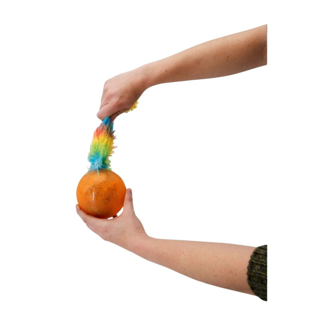 Outward Hound Surprise Tailz Ast