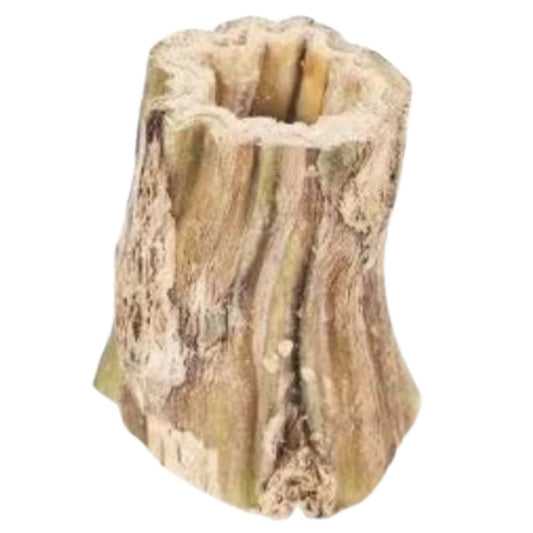 Papaya Root (2-Pack)